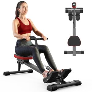 BEKING Rowing Machine, Hydraulic Rower Machine with 12 Resistance Levels, 300LBS Loading Capacity,Smart Compact,Extra-Long Rail,Full-Body Workout Cardio Fitness Equipment for...
