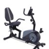 ECHANFIT Recumbent Exercise Bike with Optional Bluetooth Connectivity, 16 Levels Magnetic Resistance and Pulse Rate Monitor for Seniors, Indoor Stationary Bike for Home Use, 350...