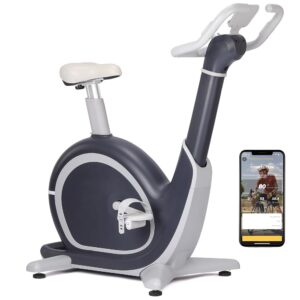 Exercise Bike, PioneerWorks 36 Levels Magnetic Resistance Exercise Bike with 350 Lbs Weight Capacity, Smart Indoor Cycling Bike for Cardio Workout and Cycle Training