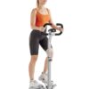 FLYBIRD Stepper with Handlebar, Twist Stair Stepper for Exercises for Leg Workout, 330LB Weight Capacity, Low-Impact Home Cardio Machine Suitable for Beginners