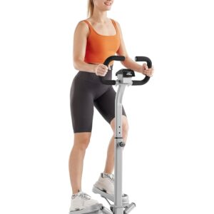 FLYBIRD Stepper with Handlebar, Twist Stair Stepper for Exercises for Leg Workout, 330LB Weight Capacity, Low-Impact Home Cardio Machine Suitable for Beginners