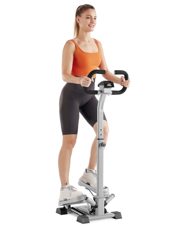 FLYBIRD Stepper with Handlebar, Twist Stair Stepper for Exercises for Leg Workout, 330LB Weight Capacity, Low-Impact Home Cardio Machine Suitable for Beginners