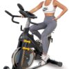 Indoor Exercise Bike Heavy-Duty 115 LB Magnetic Resistance, Includes 2X1 lb Dumbbells, Stationary Cycling Bikes for Home Exercise