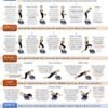 Lifepro Whole Body Vibration Plate Workout Poster - Comprehensive Vibration Plate Exercise Machine Exercise Poster with Training Suggestions & Detailed Instructions in...