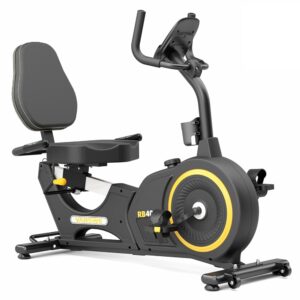 VANSWE Recumbent Exercise Bike, Recumbent Stationary Bikes for Home 400 LBS Weight Capacity, Exercise Bike for Home Seniors with Smart App and Bluetooth Connectivity, LED...